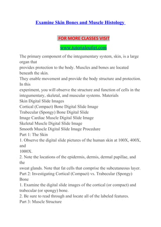 Examine skin, bones and muscle histology | DOC