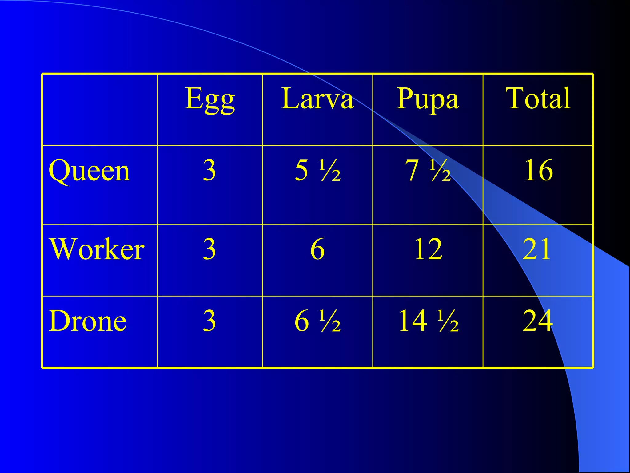 Egg   Larva   Pupa   Total

Queen     3    5½      7½      16

Worker    3     6       12     21

Drone     3    6½      14 ½    24
 