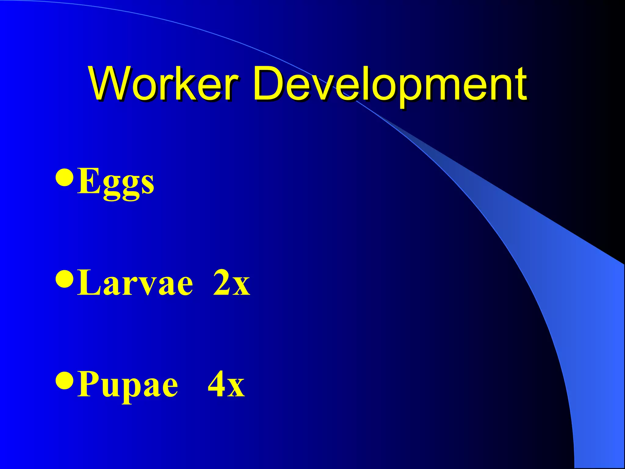 Worker Development
Eggs


Larvae   2x

Pupae    4x
 