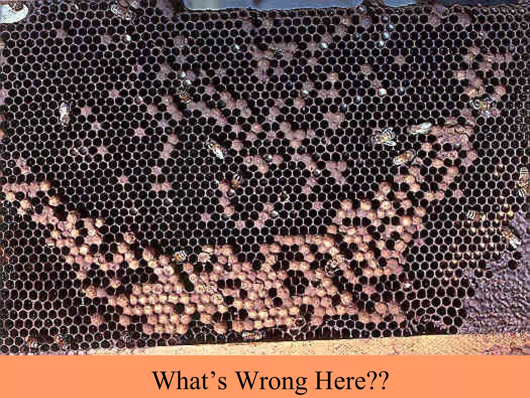 What’s Wrong Here??
 