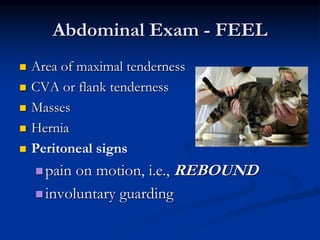 Abdominal Exam - FEEL
 Area of maximal tenderness
 CVA or flank tenderness
 Masses
 Hernia
 Peritoneal signs
pain on motion, i.e., REBOUND
involuntary guarding
 