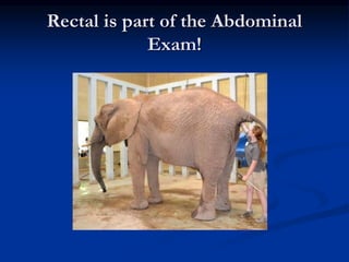 Rectal is part of the Abdominal
Exam!
 