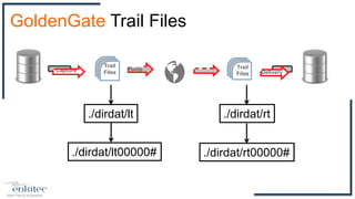 Capture
Trail
Files
Pump
Delivery
Trail
Files
GoldenGate Trail Files
./dirdat/lt ./dirdat/rt
./dirdat/lt00000# ./dirdat/rt00000#
 