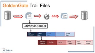 Capture
Trail
Files
Pump
Delivery
Trail
Files
GoldenGate Trail Files
./dirdat/lt00000#
File
Header
Trans
Rec* * * *
Trans
Rec
Trans
Rec
Record
Header
User
Tokens
GGS
Tokens
GHDR DATA
Record
Trailer
 