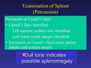Exam Of Abdomen. | PPT