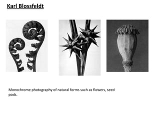 Karl Blossfeldt




Monochrome photography of natural forms such as flowers, seed
pods.
 