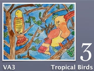 VA3
               3
      Tropical Birds
 