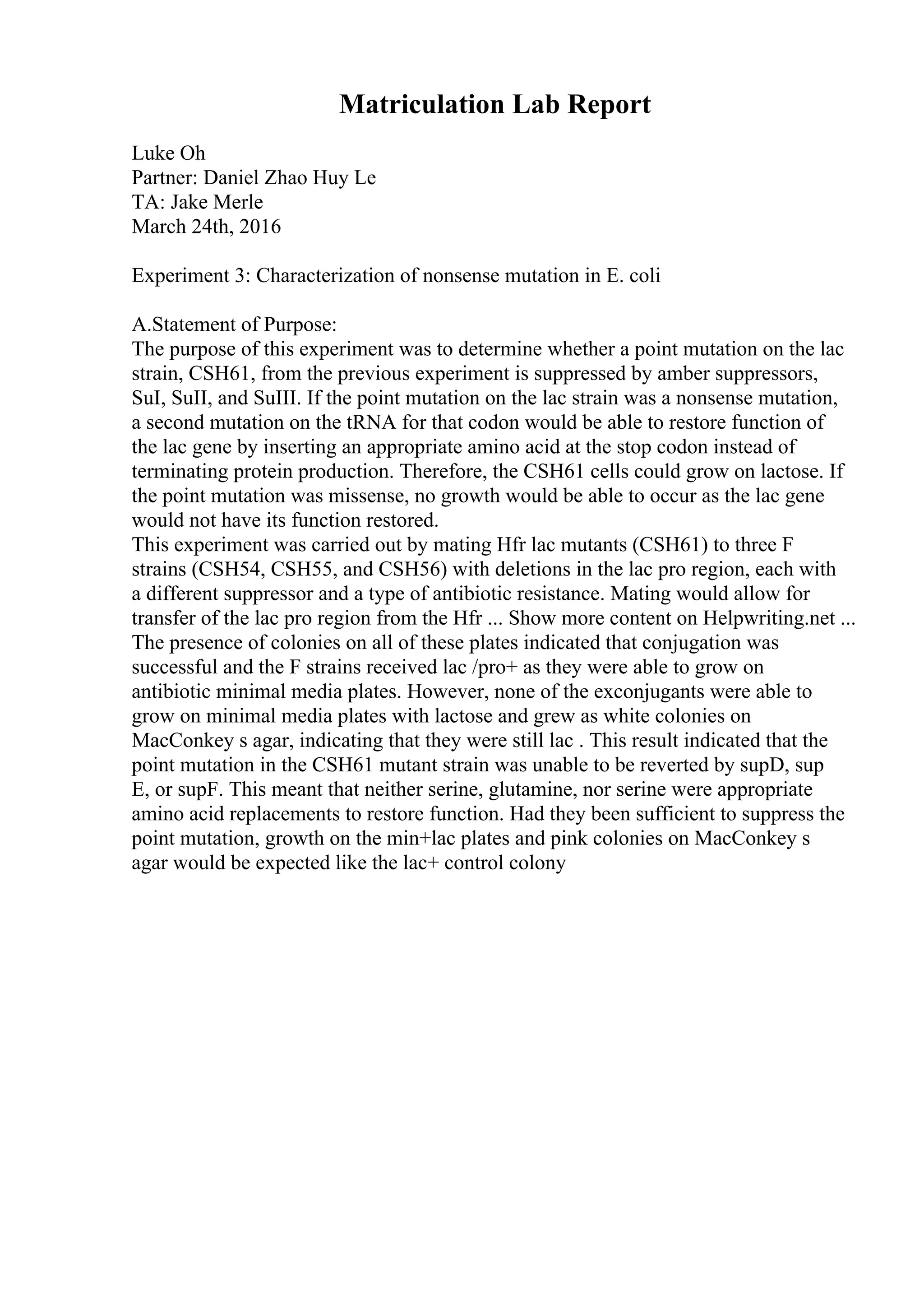 Matriculation Lab Report
Luke Oh
Partner: Daniel Zhao Huy Le
TA: Jake Merle
March 24th, 2016
Experiment 3: Characterization of nonsense mutation in E. coli
A.Statement of Purpose:
The purpose of this experiment was to determine whether a point mutation on the lac
strain, CSH61, from the previous experiment is suppressed by amber suppressors,
SuI, SuII, and SuIII. If the point mutation on the lac strain was a nonsense mutation,
a second mutation on the tRNA for that codon would be able to restore function of
the lac gene by inserting an appropriate amino acid at the stop codon instead of
terminating protein production. Therefore, the CSH61 cells could grow on lactose. If
the point mutation was missense, no growth would be able to occur as the lac gene
would not have its function restored.
This experiment was carried out by mating Hfr lac mutants (CSH61) to three F
strains (CSH54, CSH55, and CSH56) with deletions in the lac pro region, each with
a different suppressor and a type of antibiotic resistance. Mating would allow for
transfer of the lac pro region from the Hfr ... Show more content on Helpwriting.net ...
The presence of colonies on all of these plates indicated that conjugation was
successful and the F strains received lac /pro+ as they were able to grow on
antibiotic minimal media plates. However, none of the exconjugants were able to
grow on minimal media plates with lactose and grew as white colonies on
MacConkey s agar, indicating that they were still lac . This result indicated that the
point mutation in the CSH61 mutant strain was unable to be reverted by supD, sup
E, or supF. This meant that neither serine, glutamine, nor serine were appropriate
amino acid replacements to restore function. Had they been sufficient to suppress the
point mutation, growth on the min+lac plates and pink colonies on MacConkey s
agar would be expected like the lac+ control colony
 