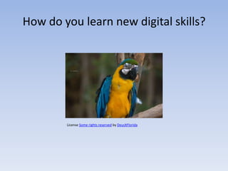 How do you learn new digital skills?




        License Some rights reserved by DeusXFlorida
 