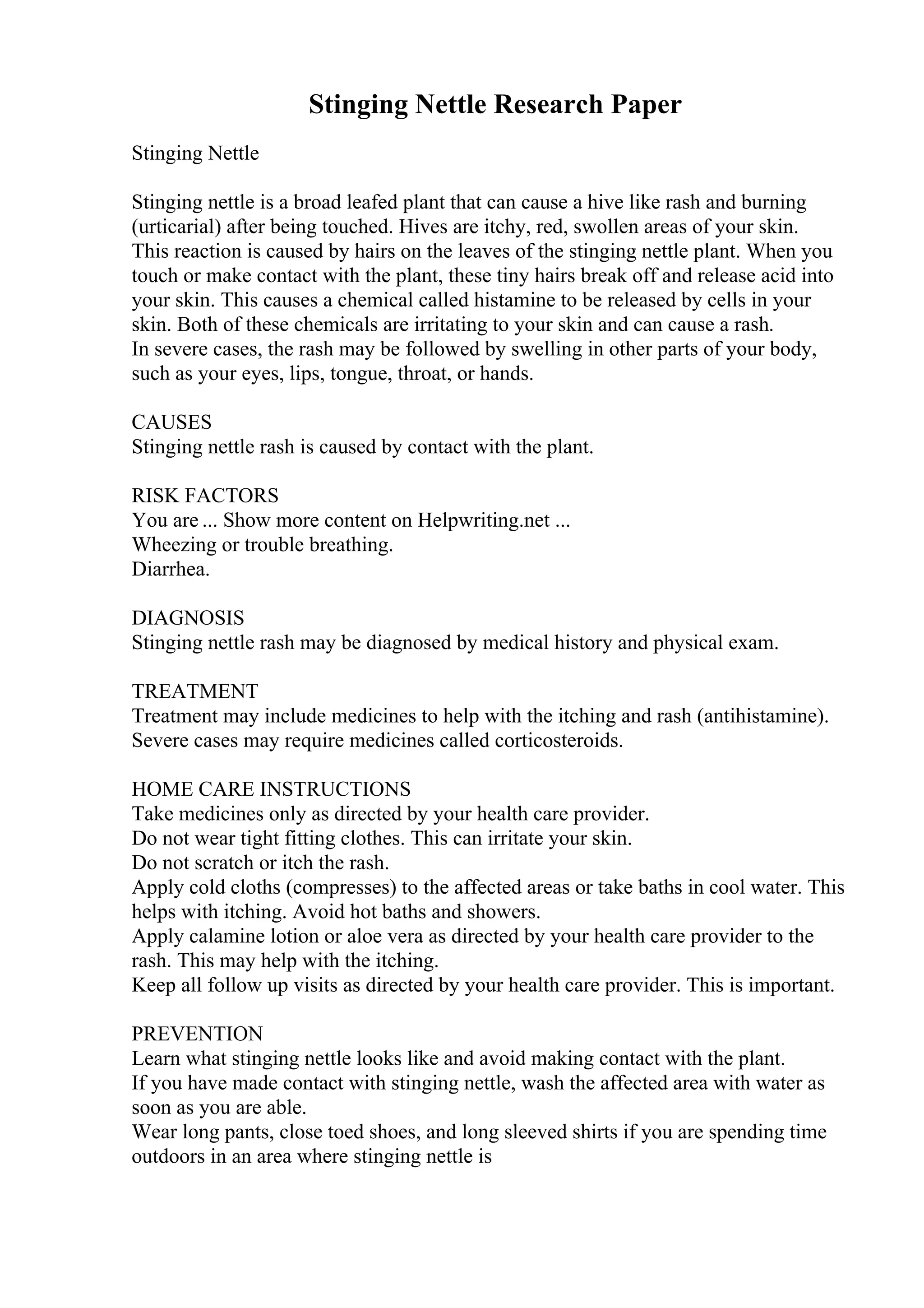 Stinging Nettle Research Paper
Stinging Nettle
Stinging nettle is a broad leafed plant that can cause a hive like rash and burning
(urticarial) after being touched. Hives are itchy, red, swollen areas of your skin.
This reaction is caused by hairs on the leaves of the stinging nettle plant. When you
touch or make contact with the plant, these tiny hairs break off and release acid into
your skin. This causes a chemical called histamine to be released by cells in your
skin. Both of these chemicals are irritating to your skin and can cause a rash.
In severe cases, the rash may be followed by swelling in other parts of your body,
such as your eyes, lips, tongue, throat, or hands.
CAUSES
Stinging nettle rash is caused by contact with the plant.
RISK FACTORS
You are ... Show more content on Helpwriting.net ...
Wheezing or trouble breathing.
Diarrhea.
DIAGNOSIS
Stinging nettle rash may be diagnosed by medical history and physical exam.
TREATMENT
Treatment may include medicines to help with the itching and rash (antihistamine).
Severe cases may require medicines called corticosteroids.
HOME CARE INSTRUCTIONS
Take medicines only as directed by your health care provider.
Do not wear tight fitting clothes. This can irritate your skin.
Do not scratch or itch the rash.
Apply cold cloths (compresses) to the affected areas or take baths in cool water. This
helps with itching. Avoid hot baths and showers.
Apply calamine lotion or aloe vera as directed by your health care provider to the
rash. This may help with the itching.
Keep all follow up visits as directed by your health care provider. This is important.
PREVENTION
Learn what stinging nettle looks like and avoid making contact with the plant.
If you have made contact with stinging nettle, wash the affected area with water as
soon as you are able.
Wear long pants, close toed shoes, and long sleeved shirts if you are spending time
outdoors in an area where stinging nettle is
 
