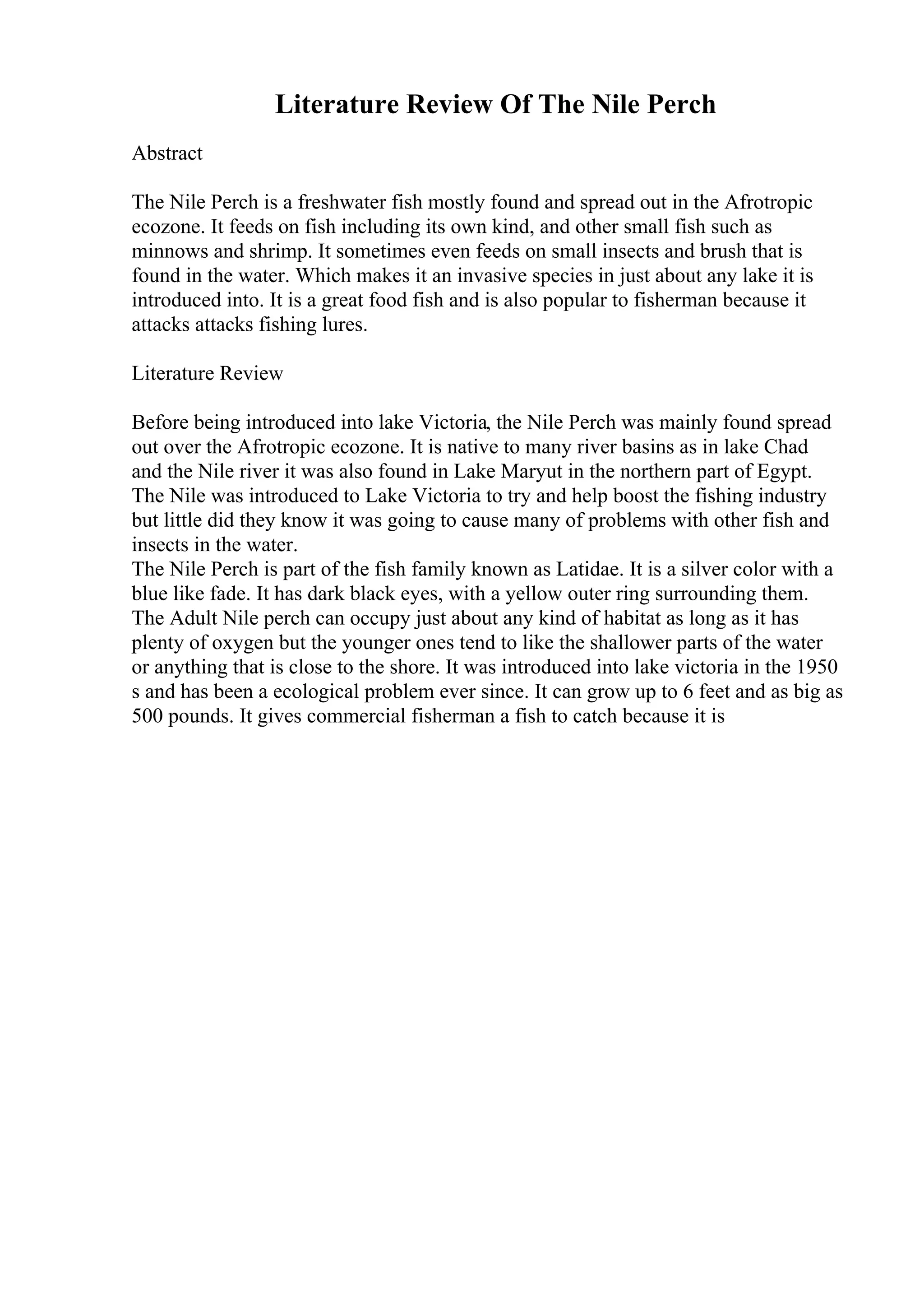 Example Of A Good Descriptive Essay | PDF