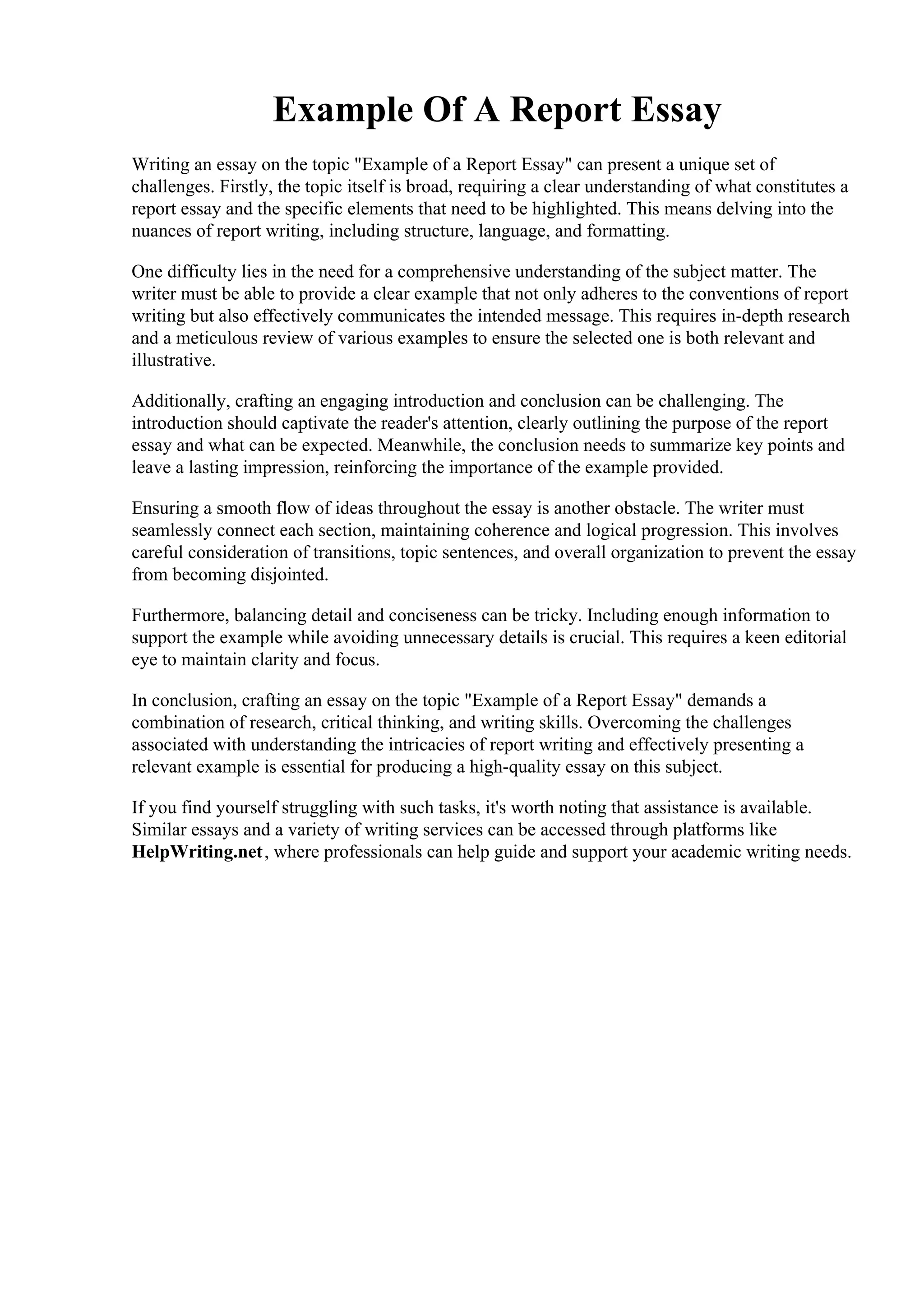 Example Of A Report Essay | PDF