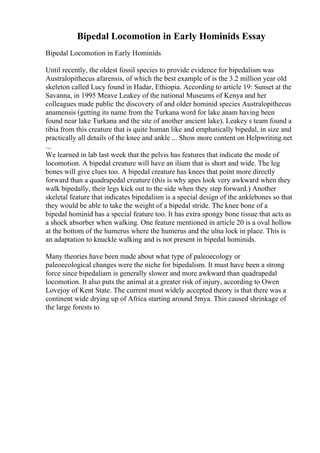 Bipedal Locomotion in Early Hominids Essay
Bipedal Locomotion in Early Hominids
Until recently, the oldest fossil species to provide evidence for bipedalism was
Australopithecus afarensis, of which the best example of is the 3.2 million year old
skeleton called Lucy found in Hadar, Ethiopia. According to article 19: Sunset at the
Savanna, in 1995 Meave Leakey of the national Museums of Kenya and her
colleagues made public the discovery of and older hominid species Australopithecus
anamensis (getting its name from the Turkana word for lake anam having been
found near lake Turkana and the site of another ancient lake). Leakey s team found a
tibia from this creature that is quite human like and emphatically bipedal, in size and
practically all details of the knee and ankle ... Show more content on Helpwriting.net
...
We learned in lab last week that the pelvis has features that indicate the mode of
locomotion. A bipedal creature will have an ilium that is short and wide. The leg
bones will give clues too. A bipedal creature has knees that point more directly
forward than a quadrapedal creature (this is why apes look very awkward when they
walk bipedally, their legs kick out to the side when they step forward.) Another
skeletal feature that indicates bipedalism is a special design of the anklebones so that
they would be able to take the weight of a bipedal stride. The knee bone of a
bipedal hominid has a special feature too. It has extra spongy bone tissue that acts as
a shock absorber when walking. One feature mentioned in article 20 is a oval hollow
at the bottom of the humerus where the humerus and the ulna lock in place. This is
an adaptation to knuckle walking and is not present in bipedal hominids.
Many theories have been made about what type of paleoecology or
paleoecological changes were the niche for bipedalism. It must have been a strong
force since bipedaliam is generally slower and more awkward than quadrapedal
locomotion. It also puts the animal at a greater risk of injury, according to Owen
Lovejoy of Kent State. The current most widely accepted theory is that there was a
continent wide drying up of Africa starting around 5mya. This caused shrinkage of
the large forests to
 