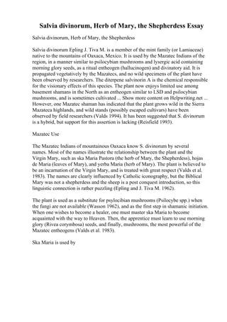Salvia divinorum, Herb of Mary, the Shepherdess Essay
Salvia divinorum, Herb of Mary, the Shepherdess
Salvia divinorum Epling J. Tiva M. is a member of the mint family (or Lamiaceae)
native to the mountains of Oaxaca, Mexico. It is used by the Mazatec Indians of the
region, in a manner similar to psilocybian mushrooms and lysergic acid containing
morning glory seeds, as a ritual entheogen (hallucinogen) and divinatory aid. It is
propagated vegetatively by the Mazatecs, and no wild specimens of the plant have
been observed by researchers. The diterpene salvinorin A is the chemical responsible
for the visionary effects of this species. The plant now enjoys limited use among
basement shamans in the North as an entheogen similar to LSD and psilocybian
mushrooms, and is sometimes cultivated ... Show more content on Helpwriting.net ...
However, one Mazatec shaman has indicated that the plant grows wild in the Sierra
Mazateca highlands, and wild stands (possibly escaped cultivars) have been
observed by field researchers (Valds 1994). It has been suggested that S. divinorum
is a hybrid, but support for this assertion is lacking (Reisfield 1993).
Mazatec Use
The Mazatec Indians of mountainous Oaxaca know S. divinorum by several
names. Most of the names illustrate the relationship between the plant and the
Virgin Mary, such as ska Maria Pastora (the herb of Mary, the Shepherdess), hojas
de Maria (leaves of Mary), and yerba Maria (herb of Mary). The plant is believed to
be an incarnation of the Virgin Mary, and is treated with great respect (Valds et al.
1983). The names are clearly influenced by Catholic iconography, but the Biblical
Mary was not a shepherdess and the sheep is a post conquest introduction, so this
linguistic connection is rather puzzling (Epling and J. Tiva M. 1962).
The plant is used as a substitute for psylocibian mushrooms (Psilocybe spp.) when
the fungi are not available (Wasson 1962), and as the first step in shamanic initiation.
When one wishes to become a healer, one must master ska Maria to become
acquainted with the way to Heaven. Then, the apprentice must learn to use morning
glory (Rivea corymbosa) seeds, and finally, mushrooms, the most powerful of the
Mazatec entheogens (Valds et al. 1983).
Ska Maria is used by
 
