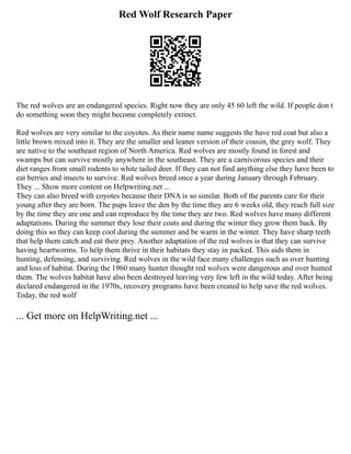 Red Wolf Research Paper
The red wolves are an endangered species. Right now they are only 45 60 left the wild. If people don t
do something soon they might become completely extinct.
Red wolves are very similar to the coyotes. As their name name suggests the have red coat but also a
little brown mixed into it. They are the smaller and leaner version of their cousin, the grey wolf. They
are native to the southeast region of North America. Red wolves are mostly found in forest and
swamps but can survive mostly anywhere in the southeast. They are a carnivorous species and their
diet ranges from small rodents to white tailed deer. If they can not find anything else they have been to
eat berries and insects to survive. Red wolves breed once a year during January through February.
They ... Show more content on Helpwriting.net ...
They can also breed with coyotes because their DNA is so similar. Both of the parents care for their
young after they are born. The pups leave the den by the time they are 6 weeks old, they reach full size
by the time they are one and can reproduce by the time they are two. Red wolves have many different
adaptations. During the summer they lose their coats and during the winter they grow them back. By
doing this so they can keep cool during the summer and be warm in the winter. They have sharp teeth
that help them catch and eat their prey. Another adaptation of the red wolves is that they can survive
having heartworms. To help them thrive in their habitats they stay in packed. This aids them in
hunting, defensing, and surviving. Red wolves in the wild face many challenges such as over hunting
and loss of habitat. During the 1960 many hunter thought red wolves were dangerous and over hunted
them. The wolves habitat have also been destroyed leaving very few left in the wild today. After being
declared endangered in the 1970s, recovery programs have been created to help save the red wolves.
Today, the red wolf
... Get more on HelpWriting.net ...
 