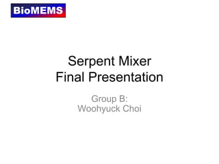 Serpent MixerFinal Presentation Group B:WoohyuckChoi 