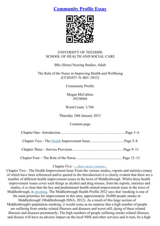 Example Of Profile Essay | PDF