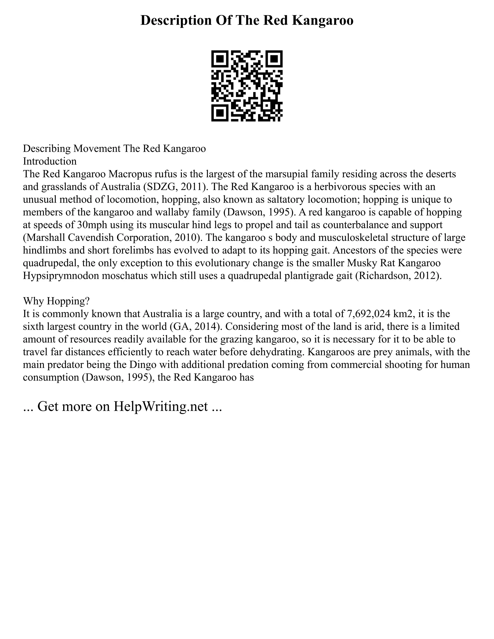 Description Of The Red Kangaroo
Describing Movement The Red Kangaroo
Introduction
The Red Kangaroo Macropus rufus is the largest of the marsupial family residing across the deserts
and grasslands of Australia (SDZG, 2011). The Red Kangaroo is a herbivorous species with an
unusual method of locomotion, hopping, also known as saltatory locomotion; hopping is unique to
members of the kangaroo and wallaby family (Dawson, 1995). A red kangaroo is capable of hopping
at speeds of 30mph using its muscular hind legs to propel and tail as counterbalance and support
(Marshall Cavendish Corporation, 2010). The kangaroo s body and musculoskeletal structure of large
hindlimbs and short forelimbs has evolved to adapt to its hopping gait. Ancestors of the species were
quadrupedal, the only exception to this evolutionary change is the smaller Musky Rat Kangaroo
Hypsiprymnodon moschatus which still uses a quadrupedal plantigrade gait (Richardson, 2012).
Why Hopping?
It is commonly known that Australia is a large country, and with a total of 7,692,024 km2, it is the
sixth largest country in the world (GA, 2014). Considering most of the land is arid, there is a limited
amount of resources readily available for the grazing kangaroo, so it is necessary for it to be able to
travel far distances efficiently to reach water before dehydrating. Kangaroos are prey animals, with the
main predator being the Dingo with additional predation coming from commercial shooting for human
consumption (Dawson, 1995), the Red Kangaroo has
... Get more on HelpWriting.net ...
 