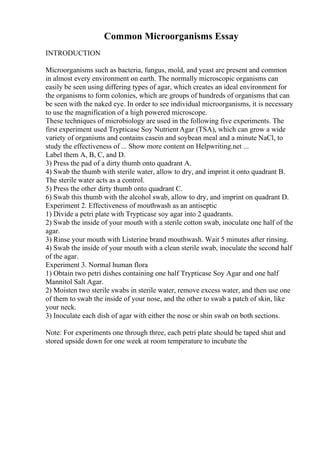Common Microorganisms Essay
INTRODUCTION
Microorganisms such as bacteria, fungus, mold, and yeast are present and common
in almost every environment on earth. The normally microscopic organisms can
easily be seen using differing types of agar, which creates an ideal environment for
the organisms to form colonies, which are groups of hundreds of organisms that can
be seen with the naked eye. In order to see individual microorganisms, it is necessary
to use the magnification of a high powered microscope.
These techniques of microbiology are used in the following five experiments. The
first experiment used Trypticase Soy Nutrient Agar (TSA), which can grow a wide
variety of organisms and contains casein and soybean meal and a minute NaCl, to
study the effectiveness of ... Show more content on Helpwriting.net ...
Label them A, B, C, and D.
3) Press the pad of a dirty thumb onto quadrant A.
4) Swab the thumb with sterile water, allow to dry, and imprint it onto quadrant B.
The sterile water acts as a control.
5) Press the other dirty thumb onto quadrant C.
6) Swab this thumb with the alcohol swab, allow to dry, and imprint on quadrant D.
Experiment 2. Effectiveness of mouthwash as an antiseptic
1) Divide a petri plate with Trypticase soy agar into 2 quadrants.
2) Swab the inside of your mouth with a sterile cotton swab, inoculate one half of the
agar.
3) Rinse your mouth with Listerine brand mouthwash. Wait 5 minutes after rinsing.
4) Swab the inside of your mouth with a clean sterile swab, inoculate the second half
of the agar.
Experiment 3. Normal human flora
1) Obtain two petri dishes containing one half Trypticase Soy Agar and one half
Mannitol Salt Agar.
2) Moisten two sterile swabs in sterile water, remove excess water, and then use one
of them to swab the inside of your nose, and the other to swab a patch of skin, like
your neck.
3) Inoculate each dish of agar with either the nose or shin swab on both sections.
Note: For experiments one through three, each petri plate should be taped shut and
stored upside down for one week at room temperature to incubate the
 