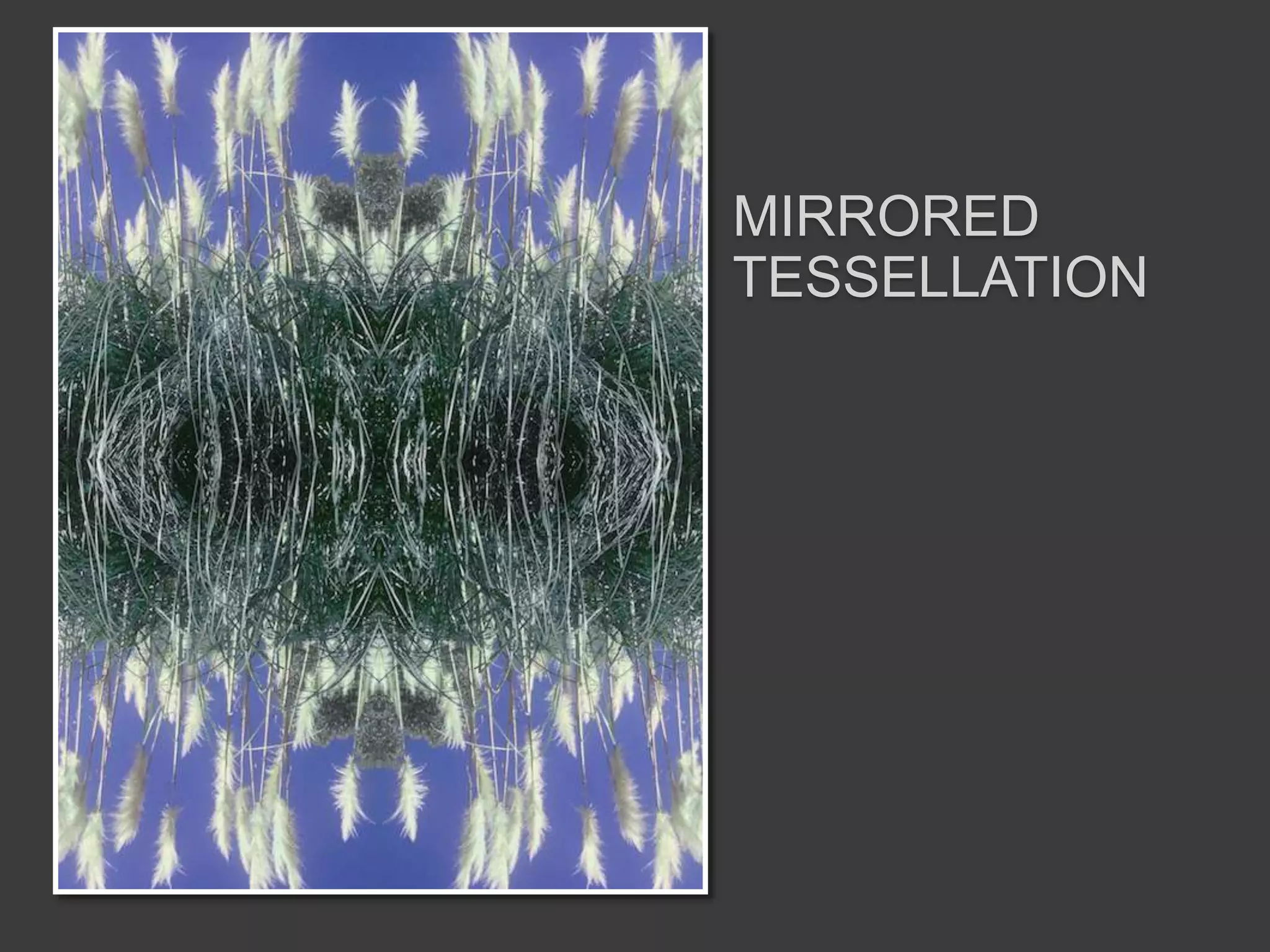 MIRRORED
TESSELLATION