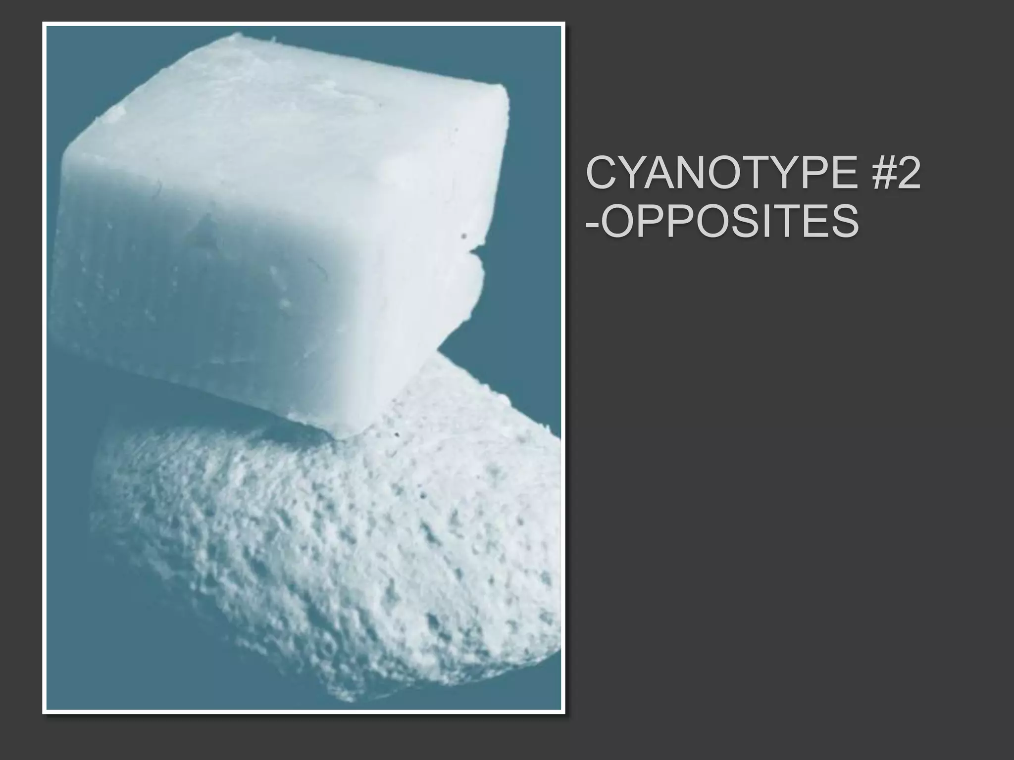 CYANOTYPE #2
-OPPOSITES