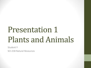 Presentation 1
Plants and Animals
Student Y
SCI-218 Natural Resources
 