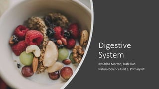 Digestive
System
By Chloe Morton, Blah Blah
Natural Science Unit 3, Primary 6º
 