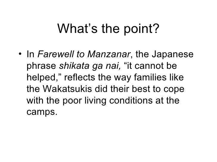 Farewell to manzanar book review essay