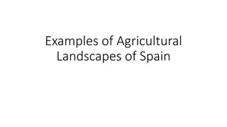 Examples of Agricultural
Landscapes of Spain
 