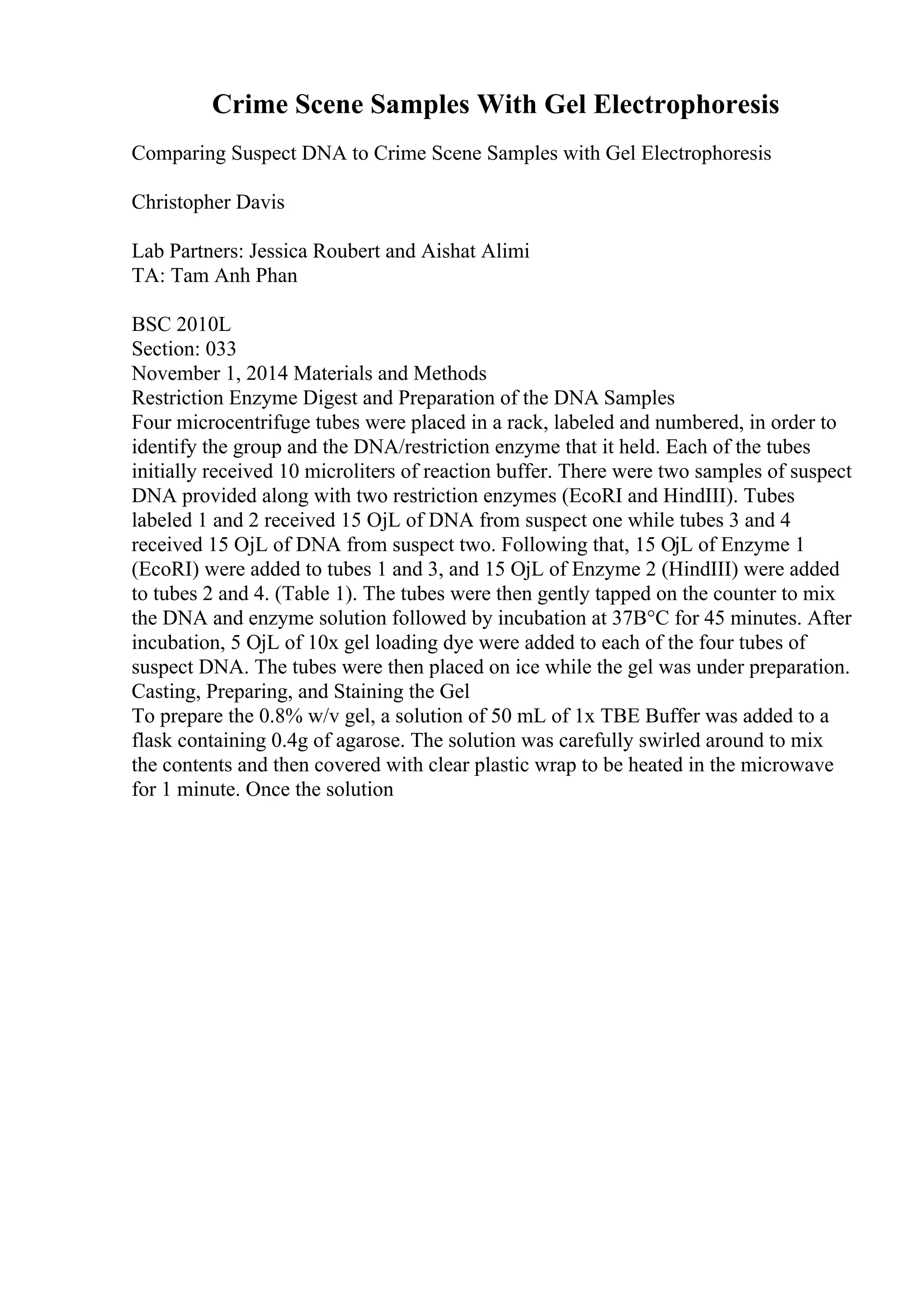 Examples Of An Introduction Paragraph For An Essay | PDF