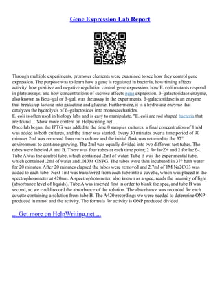 Gene Expression Lab Report
Through multiple experiments, promoter elements were examined to see how they control gene
expression. The purpose was to learn how a gene is regulated in bacteria, how timing affects
activity, how positive and negative regulation control gene expression, how E. coli mutants respond
in plate assays, and how concentrations of sucrose affects gene expression. ß–galactosidase enzyme,
also known as Beta–gal or ß–gal, was the assay in the experiments. ß–galactosidase is an enzyme
that breaks up lactose into galactose and glucose. Furthermore, it is a hydrolase enzyme that
catalyzes the hydrolysis of ß–galactosides into monosaccharides.
E. coli is often used in biology labs and is easy to manipulate. "E. coli are rod shaped bacteria that
are found ... Show more content on Helpwriting.net ...
Once lab began, the IPTG was added to the time 0 samples cultures, a final concentration of 1mM
was added to both cultures, and the timer was started. Every 30 minutes over a time period of 90
minutes 2ml was removed from each culture and the initial flask was returned to the 37°
environment to continue growing. The 2ml was equally divided into two different test tubes. The
tubes were labeled A and B. There was four tubes at each time point; 2 for lacZ+ and 2 for lacZ–.
Tube A was the control tube, which contained .2ml of water. Tube B was the experimental tube,
which contained .2ml of water and .013M ONPG. The tubes were then incubated in 37° bath water
for 20 minutes. After 20 minutes elapsed the tubes were removed and 2.7ml of 1M Na2CO3 was
added to each tube. Next 1ml was transferred from each tube into a cuvette, which was placed in the
spectrophotometer at 420nm. A spectrophotometer, also known as a spec, reads the intensity of light
(absorbance level of liquids). Tube A was inserted first in order to blank the spec, and tube B was
second, so we could record the absorbance of the solution. The absorbance was recorded for each
cuvette containing a solution from tube B. The A420 recordings we were needed to determine ONP
produced in mmol and the activity. The formula for activity is ONP produced divided
... Get more on HelpWriting.net ...
 