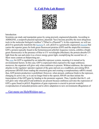 E. Coli Pglo Lab Report
Introduction
Scientists can study and manipulate genes by using precisely engineered plasmids, According to
ADDGENE, a nonprofit plasmid repository, plasmids "have become possibly the most ubiquitous
tools in the molecular biologist's toolbox" ("What Is a Plasmid?"). In this experiment, we will use
pGLO to genetically transform the bacteria E. coli. pGLO is a genetically engineered plasmid that
carries the reporter genes for both green fluorescent proteins (GFP) and the ampicillin resistance.
GFP, a protein typically found in the bioluminescent jellyfish Aequorea victoria, exhibits a bright
green fluorescence in the presence of blue to UV wavelengths (Mecham); the protein absorbs UV
light from the sun and emits it as a lower energy green light, exemplifying the second law of ...
Show more content on Helpwriting.net ...
The gene for GFP is regulated by an inducible repressor system, meaning it is turned on by
environmental factors. In this case, GFP is expressed when exposed to the sugar arabinose;
moreover, the organism will glow only when arabinose is present. Without arabinose, the repressor
attaches to the regulator/ operator segment of the gene and acts as a roadblock, preventing RNA
polymerase (RNAP) from reading the structural gene and creating a complementary mRNA strand;
thus, GFP protein production is prohibited. However, when present, arabinose binds to the repressor,
changing its active site, so it can no longer bind to the operon; RNAP can then initiate the
transcription of the GFP gene by binding to the promoter segment. Thus, I predict that the E. coli
will glow only when pGLO and arabinose are present because arabinose activates the expression of
GFP, a gene found in pGLO. Regulation of gene expression is crucial to prevent wasteful
overproduction of unneeded proteins and to allow adaptation to new environments (Regulation of
... Get more on HelpWriting.net ...
 
