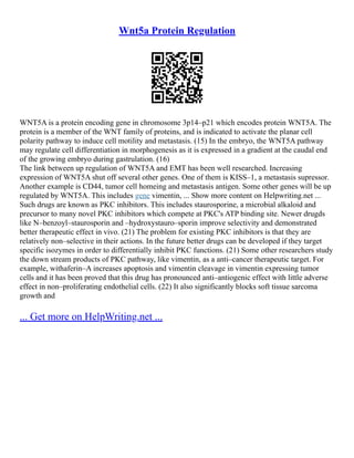 Wnt5a Protein Regulation
WNT5A is a protein encoding gene in chromosome 3p14–p21 which encodes protein WNT5A. The
protein is a member of the WNT family of proteins, and is indicated to activate the planar cell
polarity pathway to induce cell motility and metastasis. (15) In the embryo, the WNT5A pathway
may regulate cell differentiation in morphogenesis as it is expressed in a gradient at the caudal end
of the growing embryo during gastrulation. (16)
The link between up regulation of WNT5A and EMT has been well researched. Increasing
expression of WNT5A shut off several other genes. One of them is KISS–1, a metastasis supressor.
Another example is CD44, tumor cell homeing and metastasis antigen. Some other genes will be up
regulated by WNT5A. This includes gene vimentin, ... Show more content on Helpwriting.net ...
Such drugs are known as PKC inhibitors. This includes staurosporine, a microbial alkaloid and
precursor to many novel PKC inhibitors which compete at PKC's ATP binding site. Newer drugds
like N–benzoyl–staurosporin and –hydroxystauro–sporin improve selectivity and demonstrated
better therapeutic effect in vivo. (21) The problem for existing PKC inhibitors is that they are
relatively non–selective in their actions. In the future better drugs can be developed if they target
specific isozymes in order to differentially inhibit PKC functions. (21) Some other researchers study
the down stream products of PKC pathway, like vimentin, as a anti–cancer therapeutic target. For
example, withaferin–A increases apoptosis and vimentin cleavage in vimentin expressing tumor
cells and it has been proved that this drug has pronounced anti–antiogenic effect with little adverse
effect in non–proliferating endothelial cells. (22) It also significantly blocks soft tissue sarcoma
growth and
... Get more on HelpWriting.net ...
 