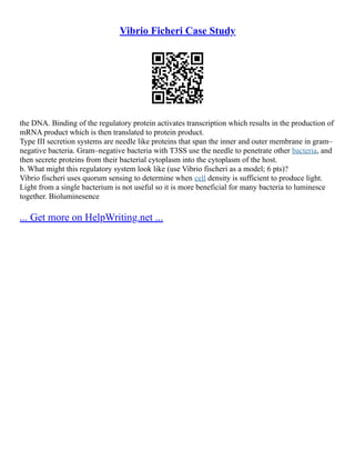Vibrio Ficheri Case Study
the DNA. Binding of the regulatory protein activates transcription which results in the production of
mRNA product which is then translated to protein product.
Type III secretion systems are needle like proteins that span the inner and outer membrane in gram–
negative bacteria. Gram–negative bacteria with T3SS use the needle to penetrate other bacteria, and
then secrete proteins from their bacterial cytoplasm into the cytoplasm of the host.
b. What might this regulatory system look like (use Vibrio fischeri as a model; 6 pts)?
Vibrio fischeri uses quorum sensing to determine when cell density is sufficient to produce light.
Light from a single bacterium is not useful so it is more beneficial for many bacteria to luminesce
together. Bioluminesence
... Get more on HelpWriting.net ...
 