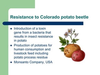 Resistance to Colorado potato beetle
 Introduction of a toxin
gene from a bacteria that
results in insect resistance
in potato
 Production of potatoes for
human consumption and
livestock feed including
potato process residue
 Monsanto Company, USA
 