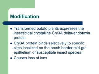 Modification
 Transformed potato plants expresses the
insecticidal crystalline Cry3A delta-endotoxin
protein
 Cry3A protein binds selectively to specific
sites localized on the brush border mid-gut
epithelium of susceptible insect species
 Causes loss of ions
 