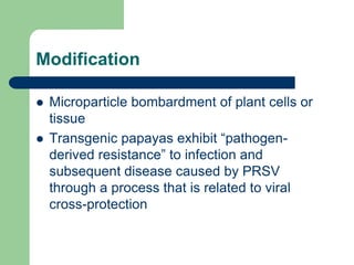 Modification
 Microparticle bombardment of plant cells or
tissue
 Transgenic papayas exhibit “pathogen-
derived resistance” to infection and
subsequent disease caused by PRSV
through a process that is related to viral
cross-protection
 