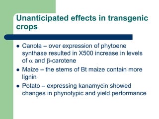 Unanticipated effects in transgenic
crops
 Canola – over expression of phytoene
synthase resulted in X500 increase in levels
of and -carotene
 Maize – the stems of Bt maize contain more
lignin
 Potato – expressing kanamycin showed
changes in phynotypic and yield performance
 