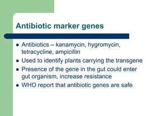 Antibiotic marker genes
 Antibiotics – kanamycin, hygromycin,
tetracycline, ampicillin
 Used to identify plants carrying the transgene
 Presence of the gene in the gut could enter
gut organism, increase resistance
 WHO report that antibiotic genes are safe
 