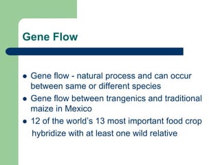 Gene Flow
 Gene flow - natural process and can occur
between same or different species
 Gene flow between trangenics and traditional
maize in Mexico
 12 of the world’s 13 most important food crop
hybridize with at least one wild relative
 