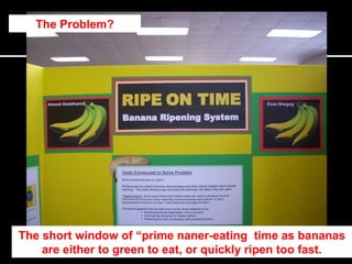 The Problem? The short window of “prime naner-eating  time as bananas are either to green to eat, or quickly ripen too fast. 