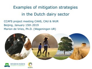 Examples of mitigation strategies
in the Dutch dairy sector
CCAFS project meeting CAAS, CAU & WUR
Beijing, January 15th 2019
Marion de Vries, Ph.D. (Wageningen UR)
 