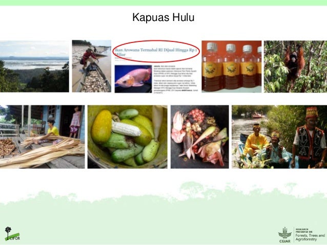 Contoh Keanekaragaman Ekosistem Di Indonesia - Contoh Muse