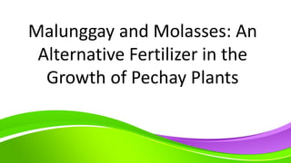 Malunggay and Molasses: An
Alternative Fertilizer in the
Growth of Pechay Plants
 