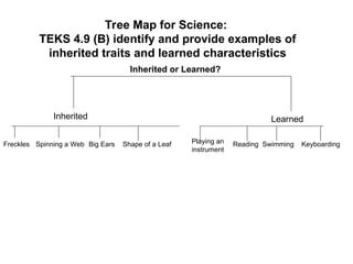 Thinking Maps Treemap Examples Examples of Thinking Maps for students and teachers | PPT
