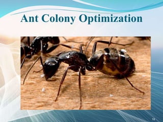 Ant Colony Optimization
19
 