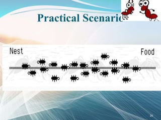 Practical Scenario
20
 