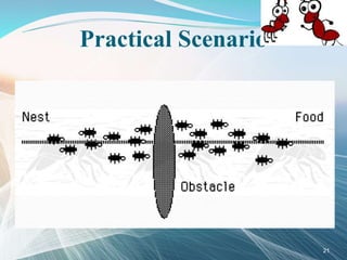 Practical Scenario
21
 