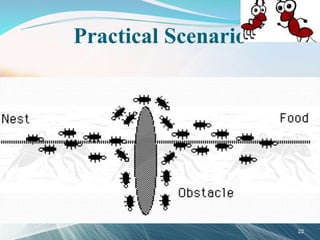 Practical Scenario
22
 