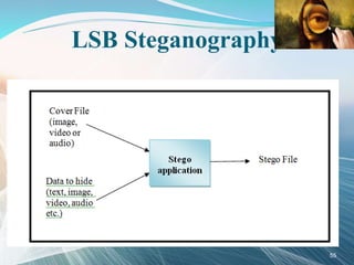 LSB Steganography
55
 